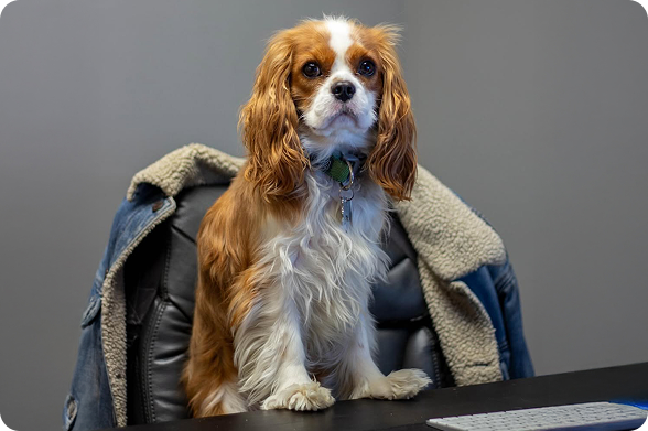 Parlons collaboration